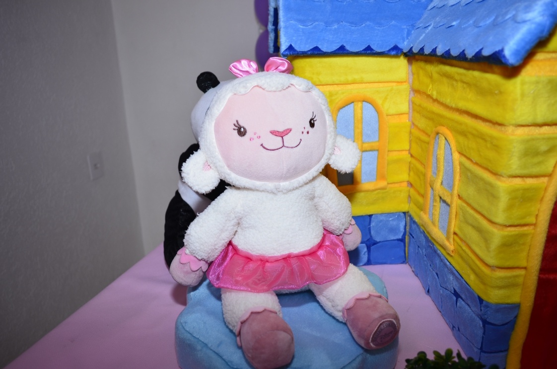 Doutora-Brinquedos-detalhes4.jpg