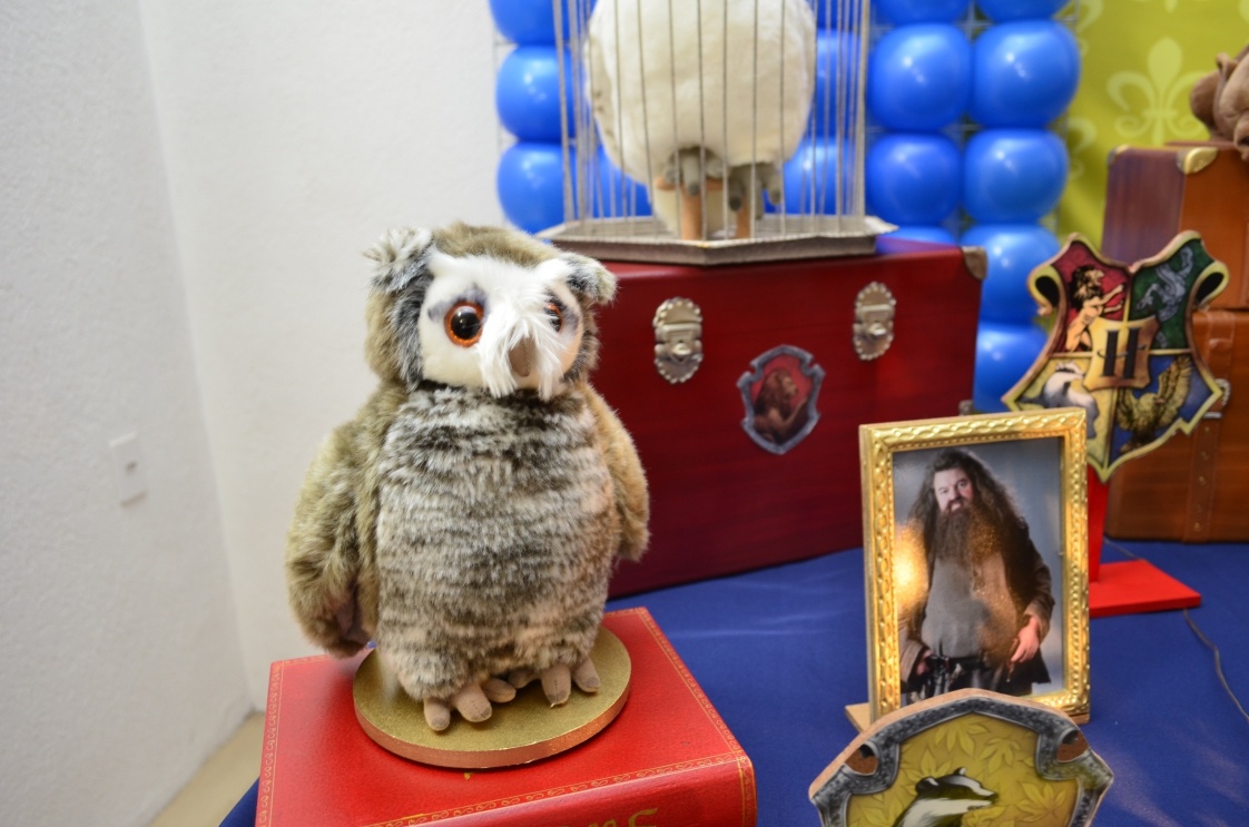 Harry-Potter-detalhes-1.jpg