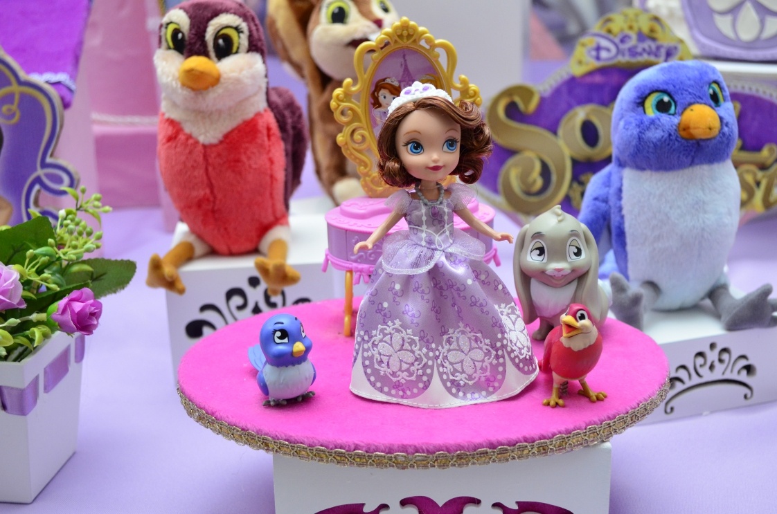Princesinha-Sofia-detalhes-2.jpg